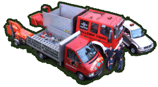 trucks